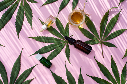 Cannabis Products on the Rise